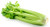 Sow No GMO Celery Tall Utah 52-70 Non GMO Heirloom Garden Vegetable 1000 Seeds