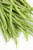Sow No GMO Bean Bush Provider Stringless Green Snap Bean Non GMO Heirloom Garden Vegetable 200 Seeds