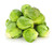 Sow No GMO Brussels Sprouts Brussel Sprouts Long Island Improved Non GMO Heirloom Vegetable 50 Seeds