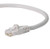 NavePoint CAT6 UTP Ethernet Network RJ45 Snagless Patch Cable 1 Ft  Gray