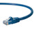 NavePoint CAT6 UTP Ethernet Network RJ45 Snagless Patch Cable 2 Ft  Blue