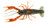 Savage Gear 3D Goby Sinking Soft Lure -Spring Craw  4 3 4 inch-