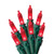 Celebrations LED Mini Traditional Mini Light Set Red 24.75 ft. 100 lights