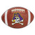 FANMATS NCAA East Carolina University Pirates Nylon Face Football Rug