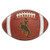 FANMATS NCAA University of Wyoming Cowboys Nylon Face Football Rug