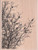 Bird Silhouettes Wood Mounted Rubber Stamp -F16364-