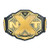WWE Authentic Wear NXT Championship Toy Title Belt Gold