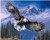 QLCUY Cross Stitch Embroidery Starter Kits Stamped Beginners Embroidery Flying Eagle 16x20inch Kids or Adults Pre-Printed Fabric DIY Embroidery Crafts Needlepoint Kit Cross Stitch Home Decor 11CT