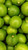 Fresh Key Limes 3 lbs.