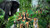 Ultimate mart Katy perry   roar 12 x 18 Inch poster
