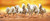 Ultimate mart running horses Poster 12x18 inch rolled