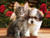 Ultimate mart cute puppy and kitten 12 x 18 Inch poster