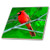 3dRose ct_3121_4 Red Cardinal Ceramic Tile, 12-Inch