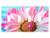 Moonlight Printing Spring Pink Flower with Blue Teal Background 4 Toggle Electrical Switch Wall Plate -8.38 x 4.69in-