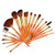 DANHCHUN 19 Makeup Brush Set for Beginners Must-Have Makeup Brush Cosmetic Brush -Color   Orange-
