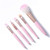 Baby Fan 5pcs Makeup Brush Set Beginner Beauty Tools Makeup Brush Five-piece Blush Brush Eye Shadow Brush Lip Brush Makeup Tools -Handle Color   1  Ships From   CHINA-