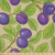 Lunarable Branches Fabric by The Yard  Repetitive Blue Violet Plums and Leaves Summer Fruit Fresh Garden Art  Microfiber Fabric for Arts and Crafts Textiles  and  Decor  1 Yard  Ecru and Multicolor