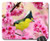 BGLKCS Beautiful Cool Bird Mouse pad Spring Mouse Pad  Mousepad