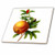 3dRose ct_106860_6 Redoute Vintage Watercolor Fruit Pomegranate Grenadier Punica-Glass Tile, 6-Inch