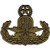 EOD Explosive Ordnance Disposal Master Badge OD Patch EOD Explosive Ordnance Disposal Master Badge OD Patch