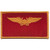Aviation Pilot Weapon Officer Gold Wings Red Field Patch
