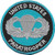 U.S. Army Paratrooper Badge Patch