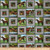 Springs Creative Products Wild Wings Summer Breeze Horse Coordinate Quilt Fabric By The Yard  Multicolor