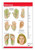 Acupuncture Points Chart Guide Reflexology Chart 24 inch x 36 inch Poster Quick Reference by Permacharts