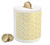 Ambesonne Spring Piggy Bank  Spring Petals with Leaves and Abstract Curved Lines Romantic Feminine Inspirations  Printed Ceramic Coin Bank Money Box for Cash Saving  Multicolor