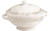 Divinity Boutique 24570 Thankful Collection Soup Tureen, Multicolor