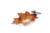Julia Knight Oak Leaf 6" Petite Bowl, One Size, Spice, Brown