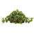 Nearly Natural Pothos with Ledge Basket, Green