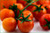Tomato Large Cherry Basket Pack Garden Heirloom Vegetable 100 Seeds by Seed Kingdom