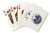 Lubbock  Texas - Skyline Seal  Blue   Playing Card Deck - 52 Card Poker Size with Jokers