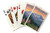 Pagosa Springs  Colorado - Bears and Spring Flowers  Playing Card Deck - 52 Card Poker Size with Jokers