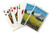 Mt. Hood  Oregon - Timberline Lodge - Spring  Poker Size Playing Cards with Jokers  52-Card Deck