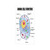 3D Decorative Film Privacy Window Film No Glue Educational Microbiology Theme Animal Cell Structure Genetic Research School Study Science Decorative Multicolor for Home and Office
