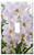 Switch Plate Single Toggle - Flower Orchid Leaves Nature Spring Beautiful