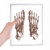 Human Body Bone Foot Sketch Notebook Loose Leaf Diary Refillable Journal Stationery