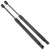 Set of 2 Front Hood Lift Support Strut Gas Damper Shock Spring Replacement for 2003-2005 Lincoln Aviator
