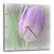 3dRose dpp_33785_1 Pretty Lavender Tulip-Flowers-Photography-Easter-Wall Clock, 10 by 10-Inch