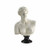 Design Toscano Venus de Milo (2nd century B.C.) Bust Statue
