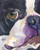 Boston Terrier Art Print   Boston Terrier Gifts   From Original Watercolor Painting by Ron Krajewski   Hand Signed in 8x10 and 11x14 Sizes