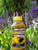 Fresh Bee Pollen Pure Raw Natural Nebraska Bee Pollen 8oz Jar