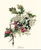 Hawthorn Tree Leaf Print  Vintage Botanical Art