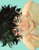 BnHA poster Izuku Boku no Hero Academia poster
