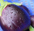 Black Beauty Eggplant Seeds- Heirloom- 100 Plus Seeds