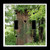 Double Toggle  2-toggle  Light Switch Plate Cover - Outhouses - Vintage Toilet Outhouse