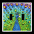 Double Toggle  2-toggle  Light Switch Plate Cover - Peacocks - Peacock Art