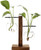 Yistao Stand Glass Planter Bulb Vase  Glass Flowerpot with Vintage Wood Frame Holder for Hydroponic Plants Home Office Wedding Decoration -  2 Bulb Vase